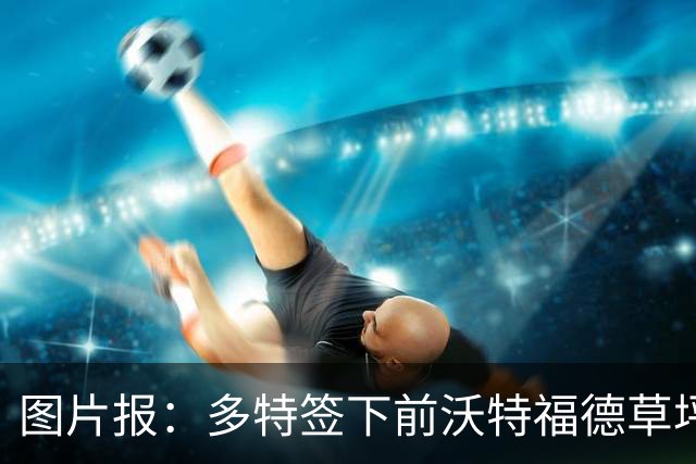 图片报：多特签下前沃特福德草坪主管，出任俱乐部场地管理负责人
