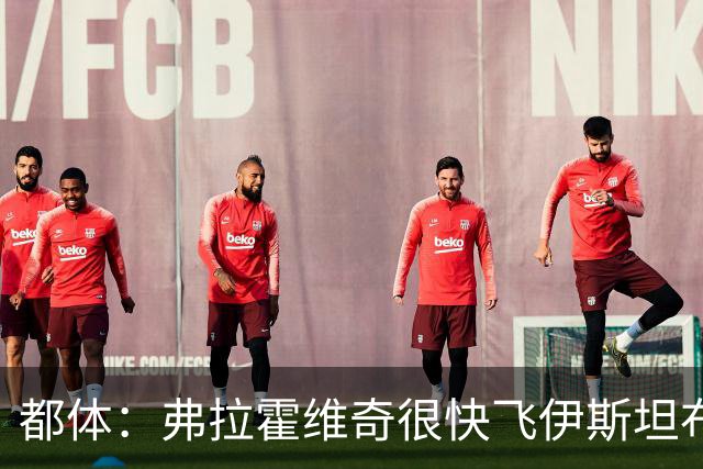 都体：弗拉霍维奇很快飞伊斯坦布尔，再次会见贝西克塔斯高层